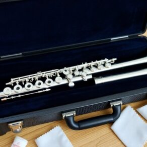 top flute case recommendations