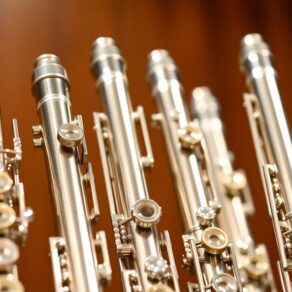 top flutes for professionals